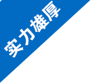 实力雄厚